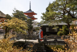 Japan_Sakura_2025 (60/79)